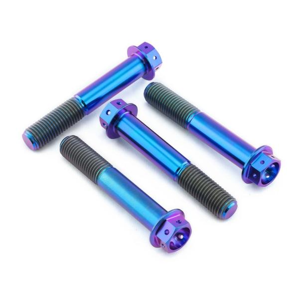 PRO BOLT プロボルト フロントブレーキキャリパーマウンティングボルトキット カラー：パープル...