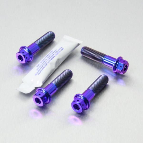 PRO BOLT プロボルト フロントブレーキキャリパーマウンティングボルトキット カラー：パープル...