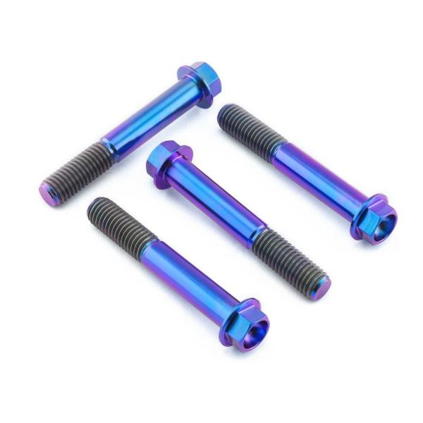 PRO BOLT プロボルト フロントブレーキキャリパーマウンティングボルトキット カラー：パープル...