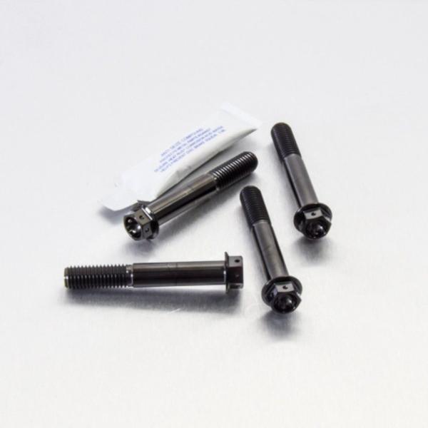PRO BOLT プロボルト フロントブレーキキャリパーマウンティングボルトキット カラー：ブラック...