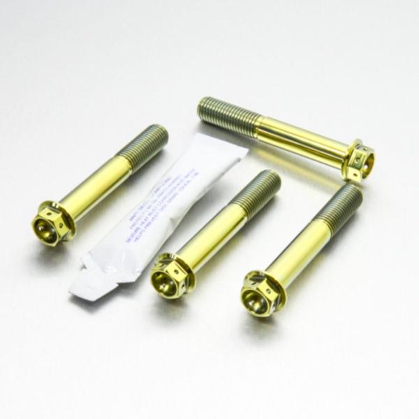 PRO BOLT プロボルト フロントブレーキキャリパーマウンティングボルトキット カラー：ゴールド...