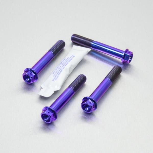 PRO BOLT プロボルト フロントブレーキキャリパーマウンティングボルトキット カラー：パープル...