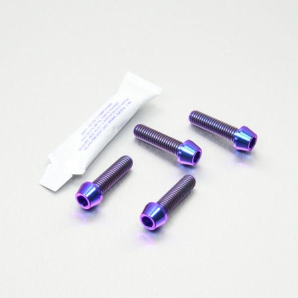 PRO BOLT プロボルト フロントブレーキキャリパーマウンティングボルトキット カラー：パープル...