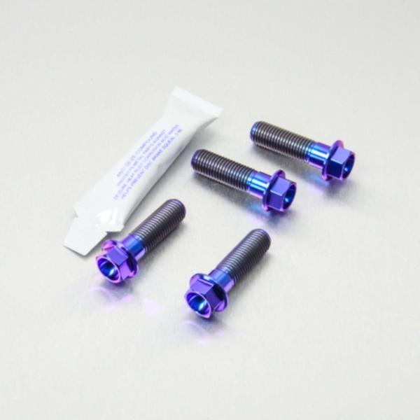 PRO BOLT プロボルト フロントブレーキキャリパーマウンティングボルトキット カラー：パープル...