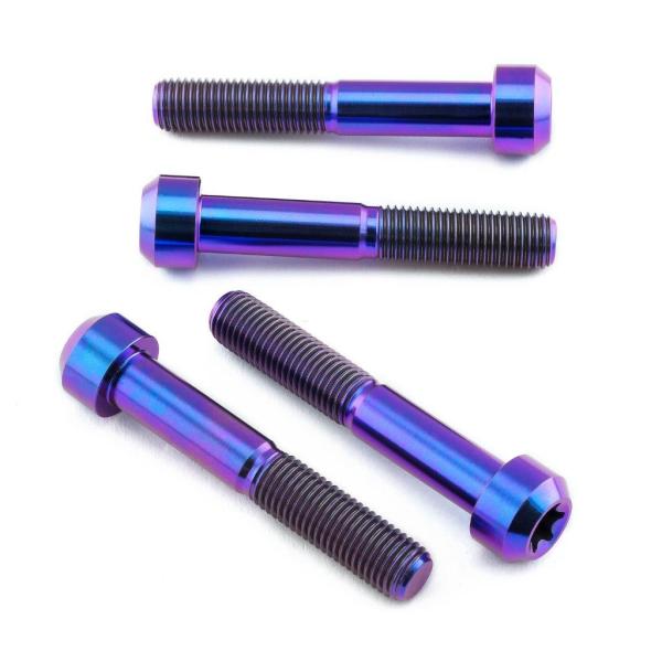 PRO BOLT プロボルト フロントブレーキキャリパーマウンティングボルトキット カラー：パープル...