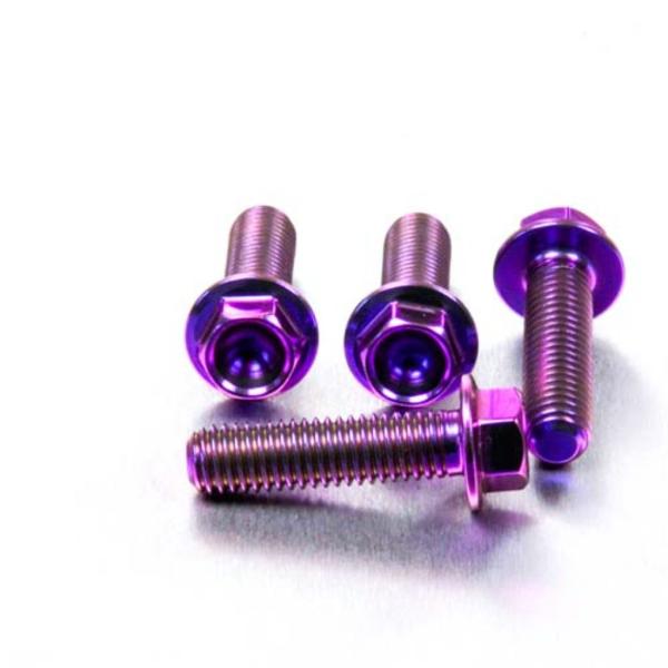 PRO BOLT プロボルト フロントブレーキキャリパーマウンティングボルトキット カラー：パープル...
