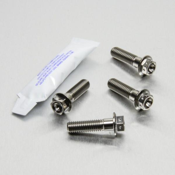 PRO BOLT プロボルト フロントブレーキキャリパーマウンティングボルトキット カラー：ナチュラ...