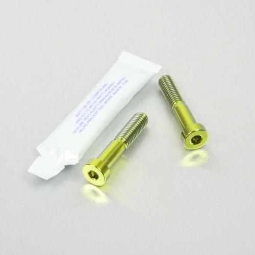 PRO BOLT プロボルト リアブレーキキャリパーピンチボルトセット カラー：ゴールド APRIL...