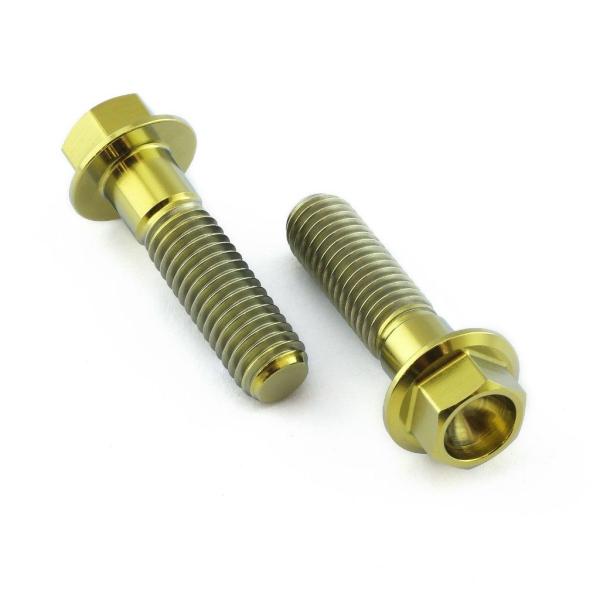 PRO BOLT プロボルト リアブレーキキャリパーマウンティングボルトキット カラー：ゴールド A...