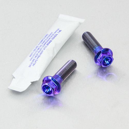 PRO BOLT プロボルト リアブレーキキャリパーマウンティングボルトキット カラー：パープル A...