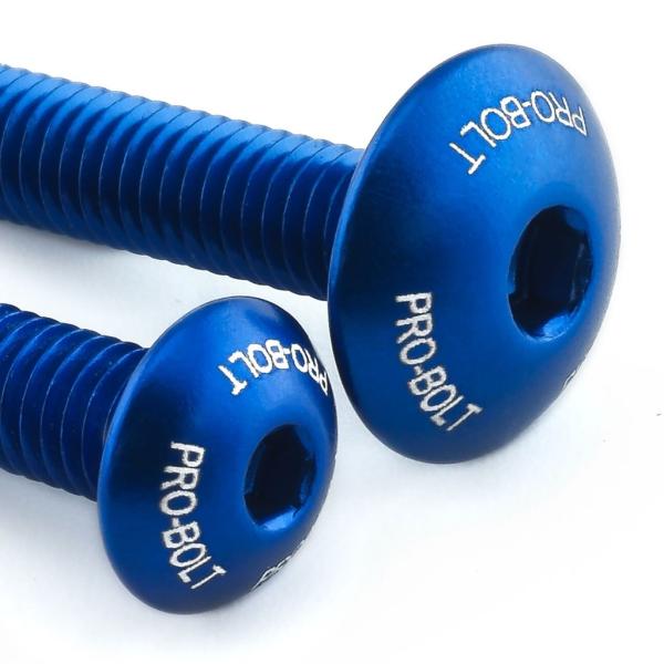 PRO BOLT プロボルト スクリーンボルト キット カラー：ブルー GTR1000 ZX-10R...