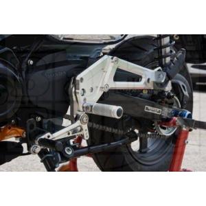 ホンダ（HONDA） サービスマニュアル CB223S FTR223 DVD・書籍