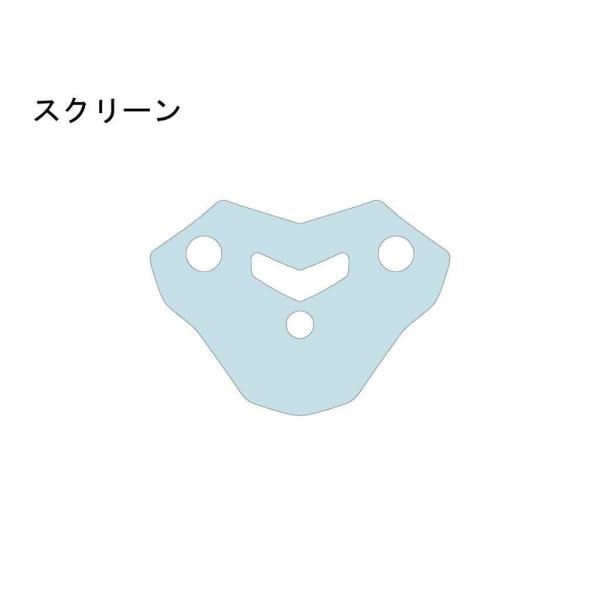 ECHELON エシュロン スクリーン【QUATECT】 F900R BMW プロテクションフィルム...