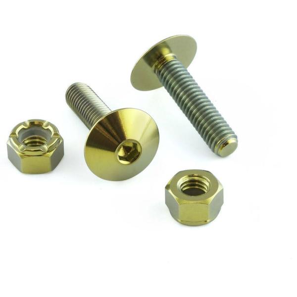 PRO BOLT プロボルト ナンバープレート キット カラー：ゴールド キャリパーボルト・マウント...