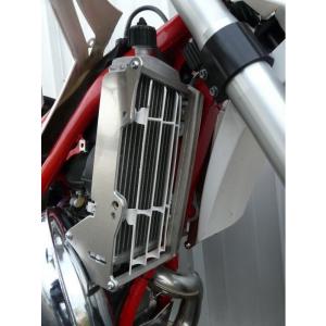 MECASYSTEM メカシステム Radiator Protection BETA 250/300...