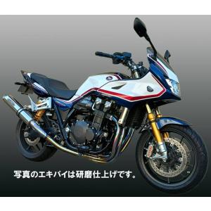 TSR テクニカルスポーツレーシング チタンフルエキゾースト アップ
