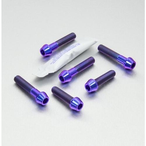 PRO BOLT プロボルト トップ ＆ ボトム クランプ ヨーク ピンチ キット カラー：パープル...