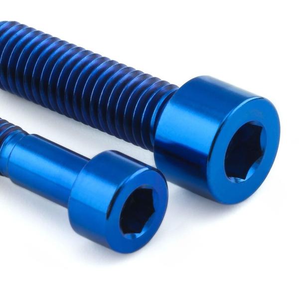 PRO BOLT プロボルト フューエル キャップ キット カラー：ブルー RS250 RS4 12...