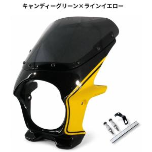 補修部品 ビキニカウル DS-01 専用 スクリーン タイプAERO クリア