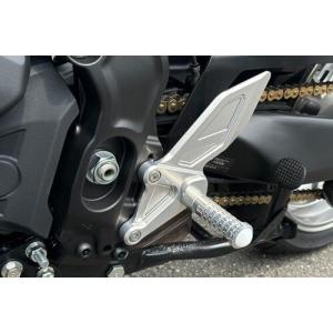 XJR1200 コワースフェンダーレス 0824 COERCE（コワース） フェンダーレスキット XJR1300 XJR1200 XJR1200R