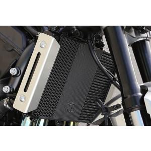 r’s gear アールズギア ラジエターコアガード タイプ：スモールロゴ / カラー：ブラック C...