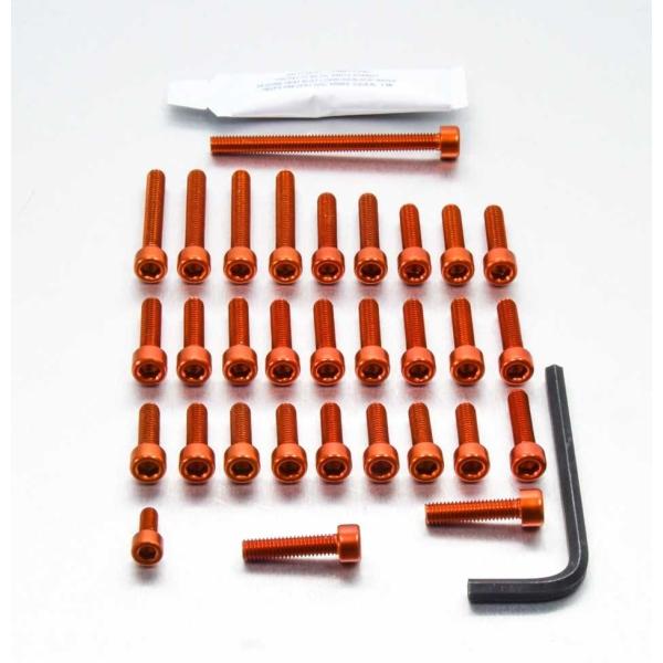 PRO BOLT プロボルト エンジンボルトキット カラー：オレンジ ZX-10R KAWASAKI...