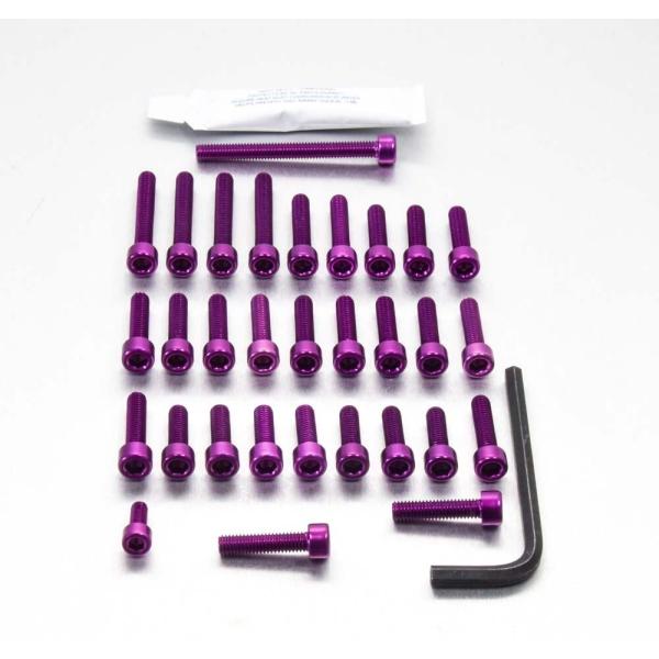 PRO BOLT プロボルト エンジンボルトキット カラー：パープル ZX-10R KAWASAKI...