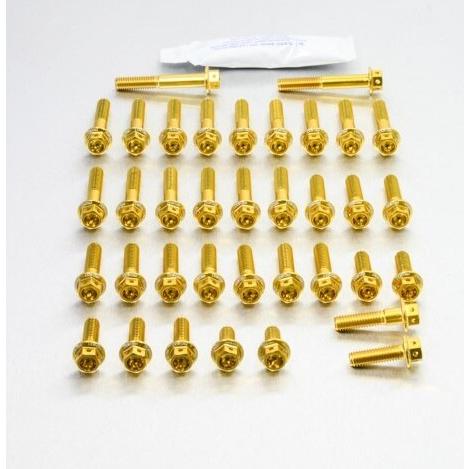 PRO BOLT プロボルト エンジンキット カラー：ゴールド ZX-10R Ninja KAWAS...