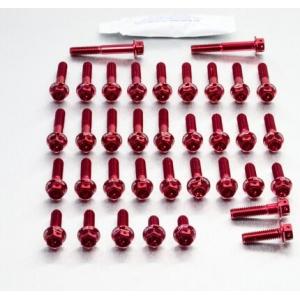 PRO BOLT プロボルト エンジンキット カラー：レッド ZX-10R Ninja KAWASA...