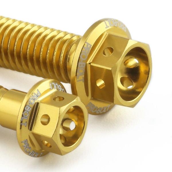 PRO BOLT プロボルト エンジンキット カラー：ゴールド Ninja ZX-6R KAWASA...