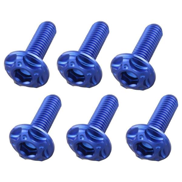 POSH Faith ポッシュ フェイス スクリーンボルトセット カラー：ブルー HONDA ホンダ...