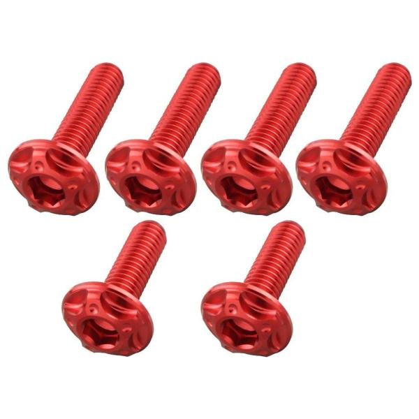 POSH Faith ポッシュ フェイス スクリーンボルトセット カラー：レッド HONDA ホンダ...