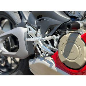 de LIGHT ディライト 3ポジションステップキット Panigale V4 DUCATI ドゥカティ バックステップ ステップ 足回り