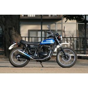 WM ダブルエム KHルック テールカウル COMP 250TR KAWASAKI