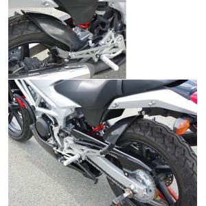 TEASER RFK04G REAR FENDER [DRY CARBON HG] KAWASAKI Z1000 (14
