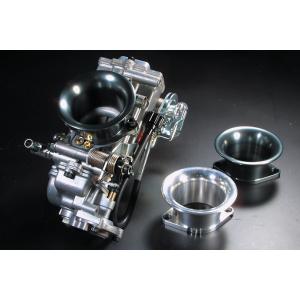 DAYTONA（デイトナ） ステンレスショートフェンダー 250TR KAWASAKI