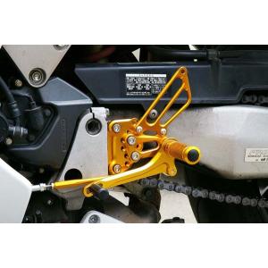 DAYTONA（デイトナ） ステンレスショートフェンダー W400 W650