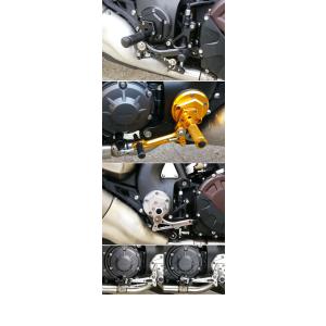 CHIC DESIGN シックデザイン ガイラシールド スクリーンカラー