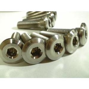 TITANIUM64 チタニウムロクジュウヨン ローターボルトキット ZX10R KAWASAKI ...