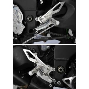 AGRAS アグラス バックステップ ZX-10R KAWASAKI カワサキ ステップ 足回り