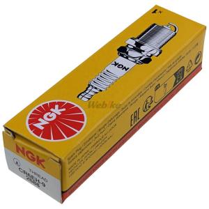 2688 CR6EH-9 NGK 一般プラグ RTL250F