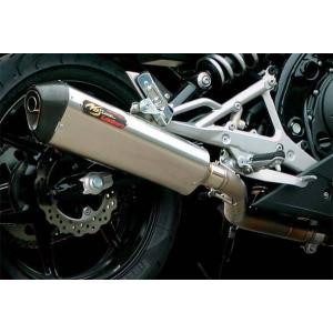 Ninja400R（ニンジャ）EBL-ER400B ダイナミックマフラー ステンレス
