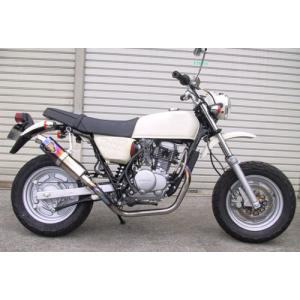 BEAMS（ビームス） マフラー 送料無料 マフラー APE50/エイプ50 SS300