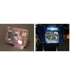 TG中川 ティージーナカガワ マルチリフレクターヘッドライトキット GPZ900R NINJA [ニ...