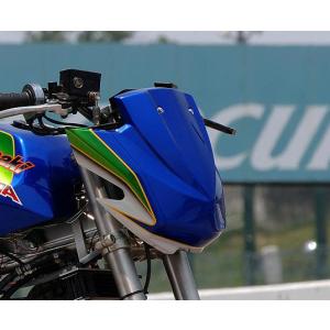 才谷屋 サイタニヤ Z1000レプリカ ビキニカウル KSR110 KAWASAKI カワサキ｜webike