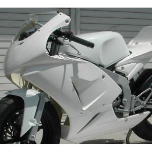 Saitaniya Factory NSR50 NSR80 カウル・エアロ シングルシート