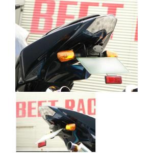 Ninja ZZR250 ZZR400 ZZR600 ZZR1000 ZZR1100 ZZR1200 ZZR1400 Z250