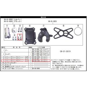 SP武川 SPタケガワ 【補修部品】右サイドカバースクリューセット(4個入) クランクケースボルト ...