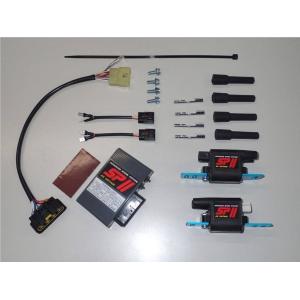 HEALTECH ELECTRONICS（ヒールテックエレクトロニクス） X-TREパワー 