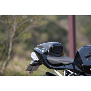 BMW R1100S 98-04年 アンダーカウルキット (ベリーパン) : 輸入パーツ